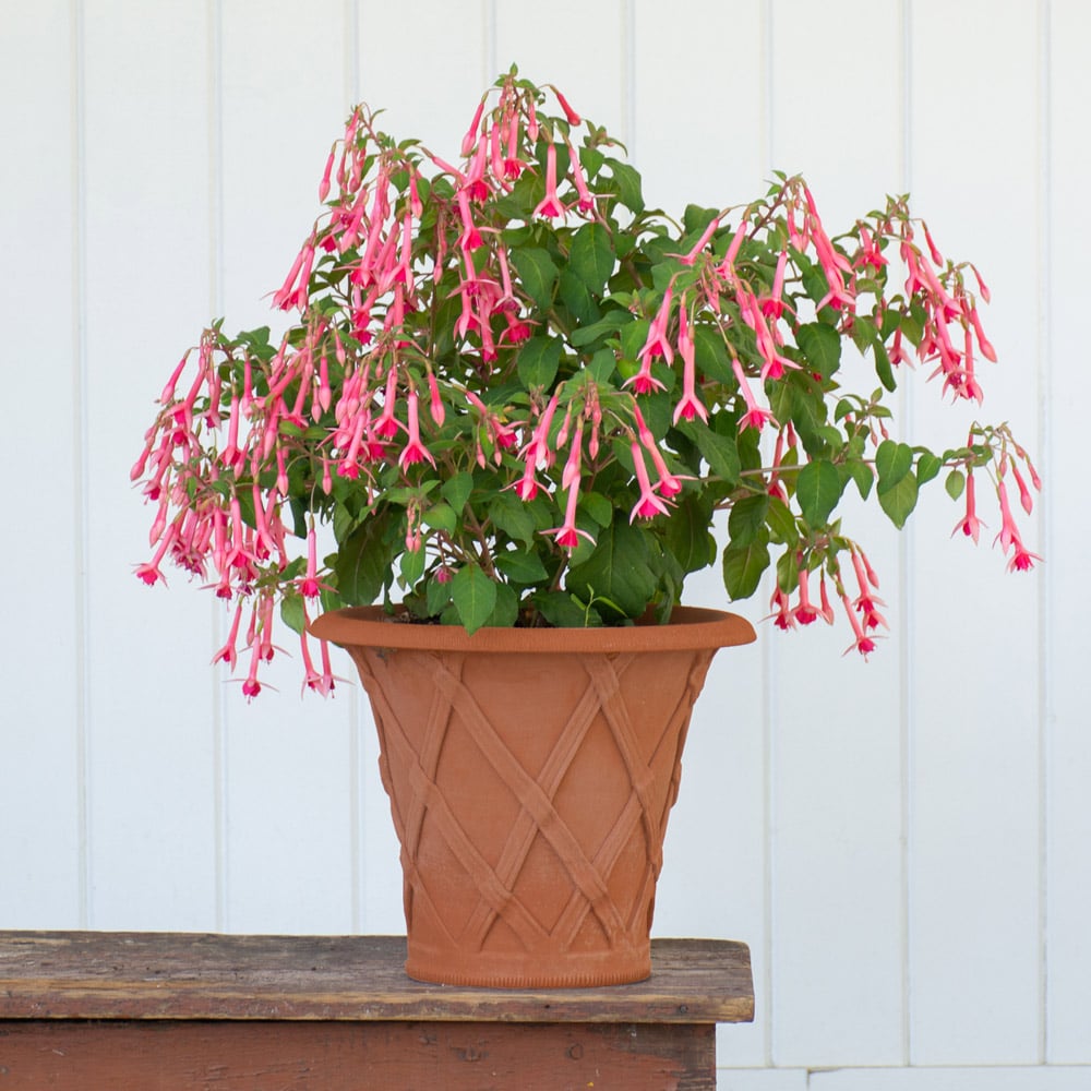 Flared Basket Weave Pot