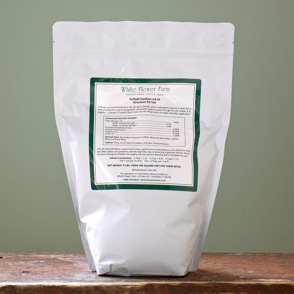 Daffodil Fertilizer