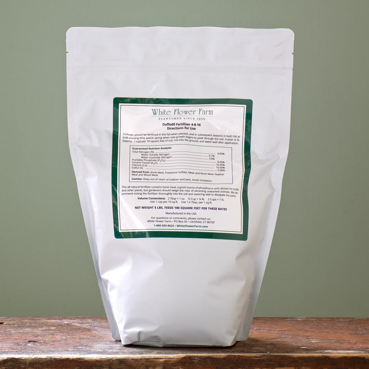 Daffodil Fertilizer
