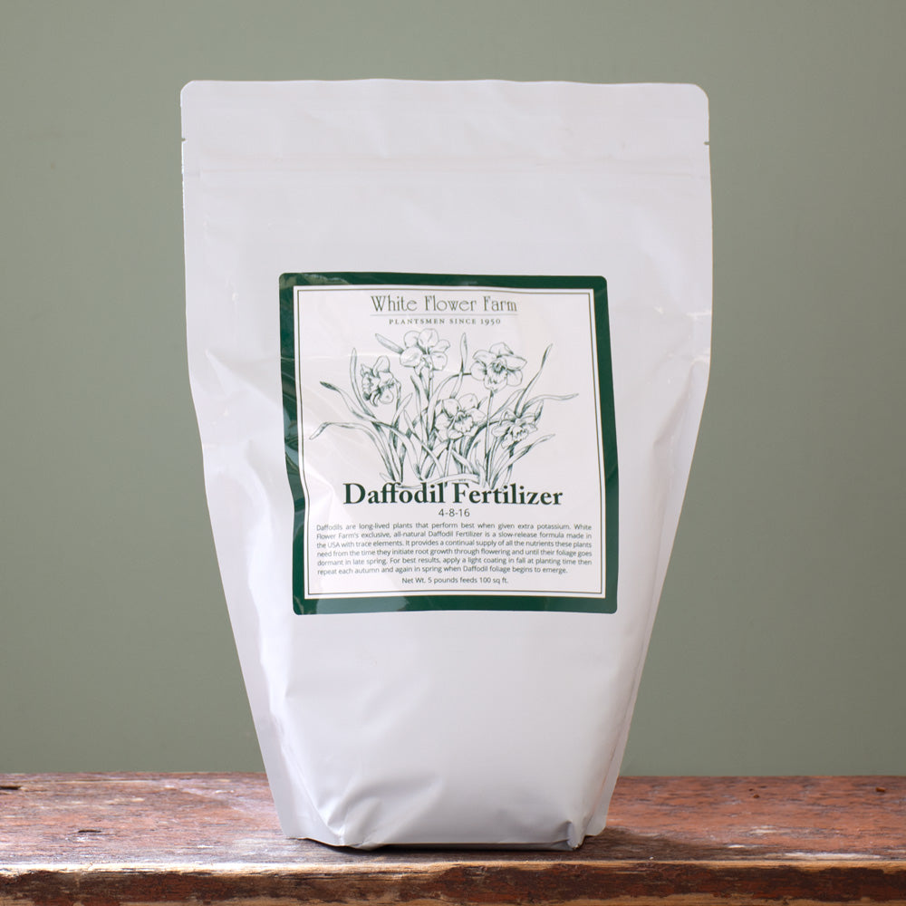 Daffodil Fertilizer