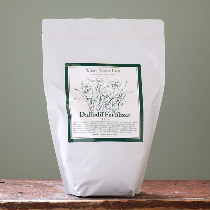 Daffodil Fertilizer