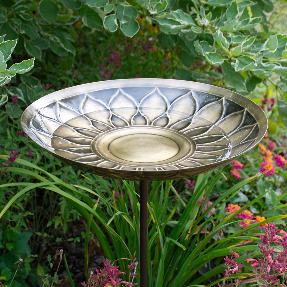 African Daisy Birdbath