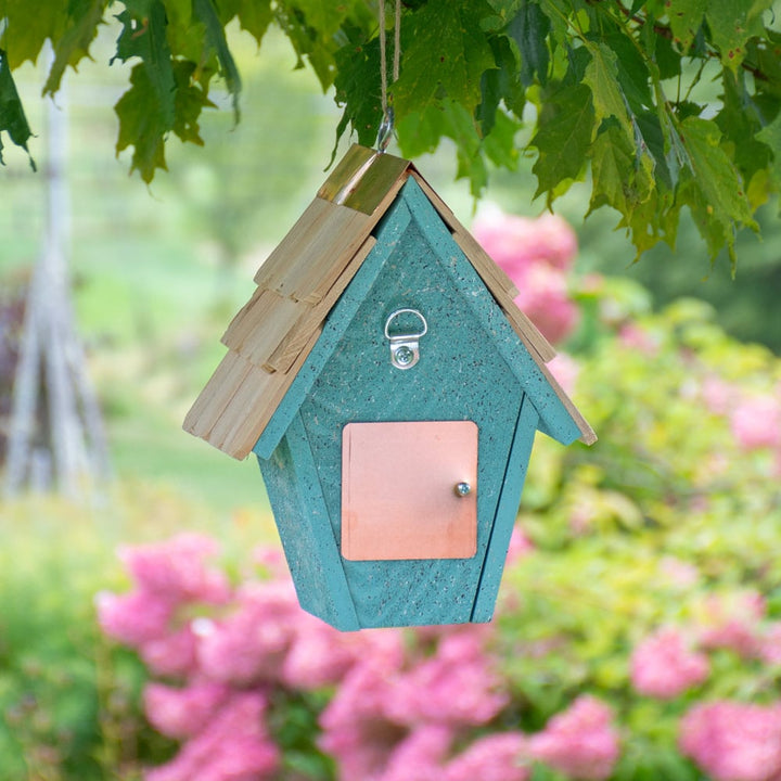 Wren-in-the-Wind House, Blue Eggshell