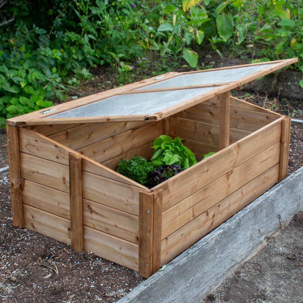 Cold Frame