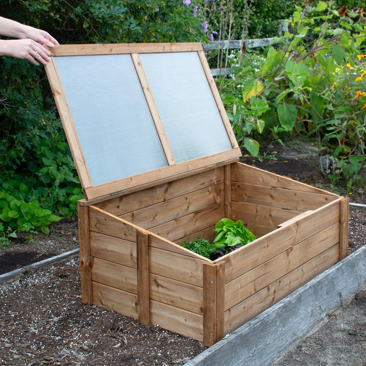 Cold Frame