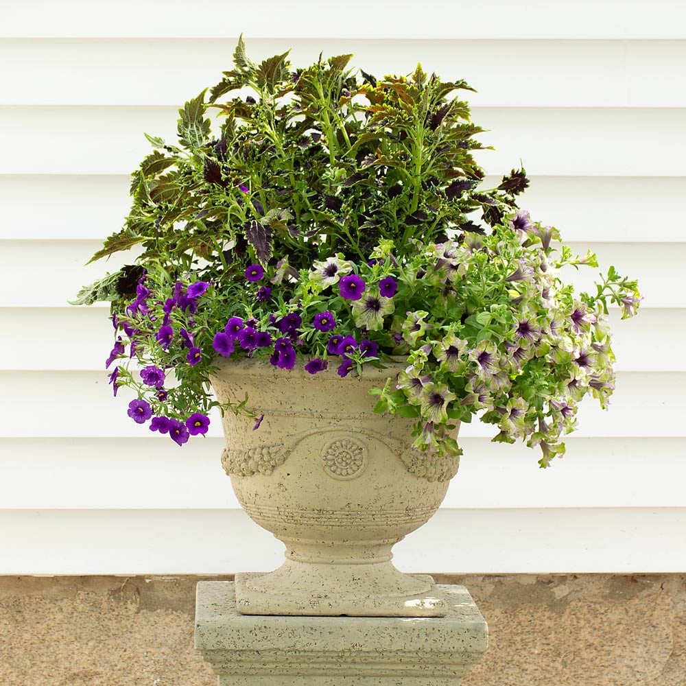 Florencia Lavastone Urn, Short, Natural