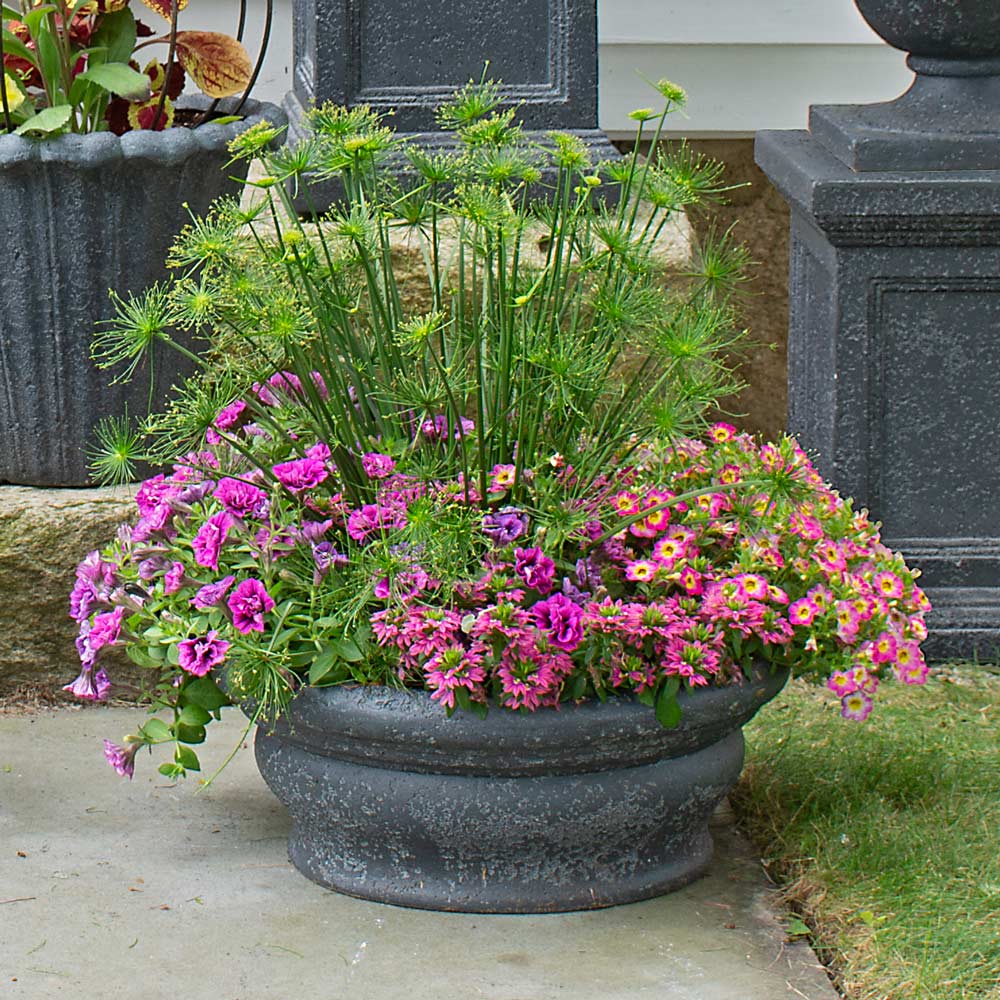 Positano Planter, Charcoal