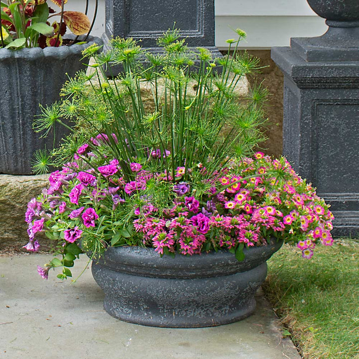 Positano Planter, Charcoal