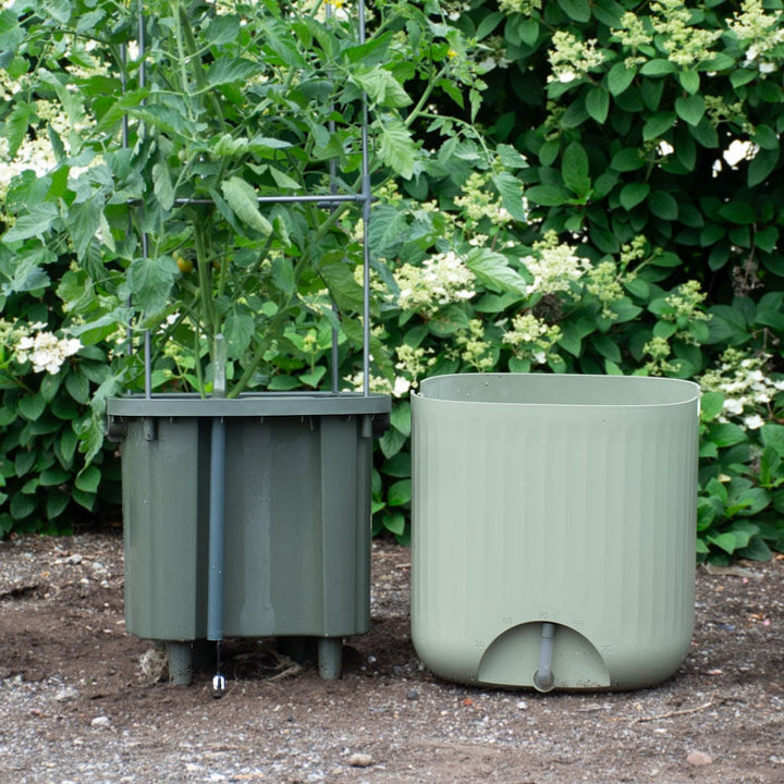 EZ Self-Watering Tomato Planter with Trellis, Sage Green