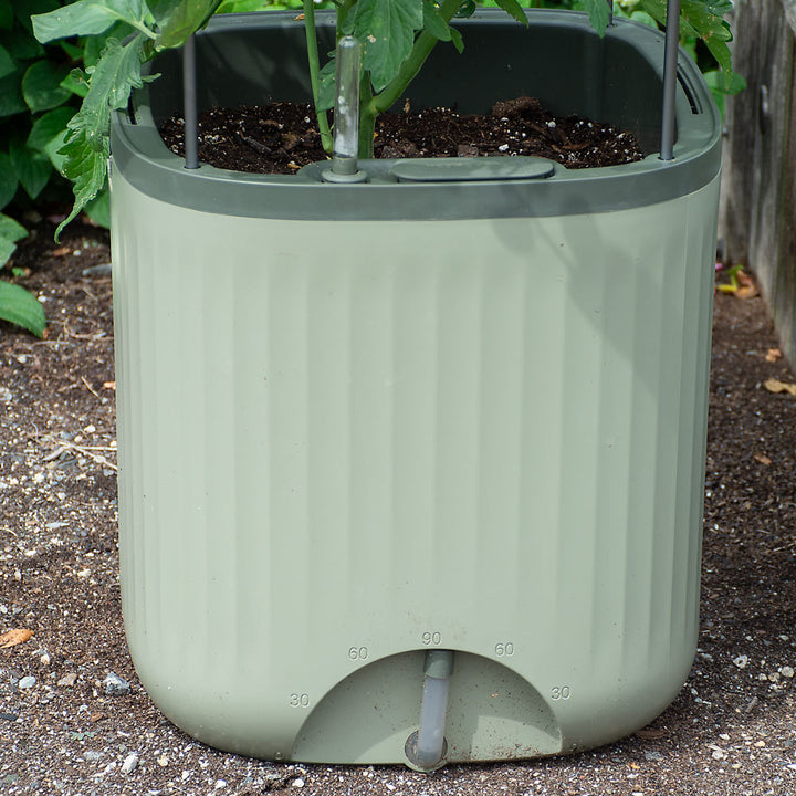 EZ Self-Watering Tomato Planter with Trellis, Sage Green