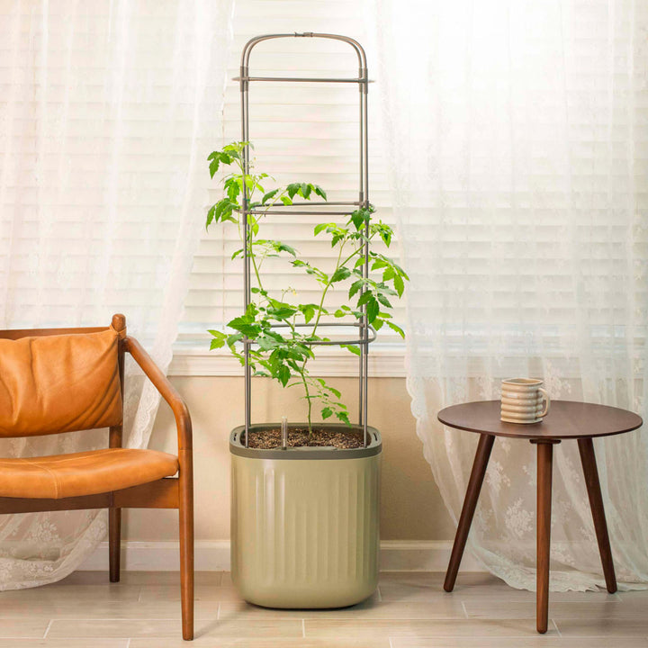 EZ Self-Watering Tomato Planter with Trellis, Sage Green