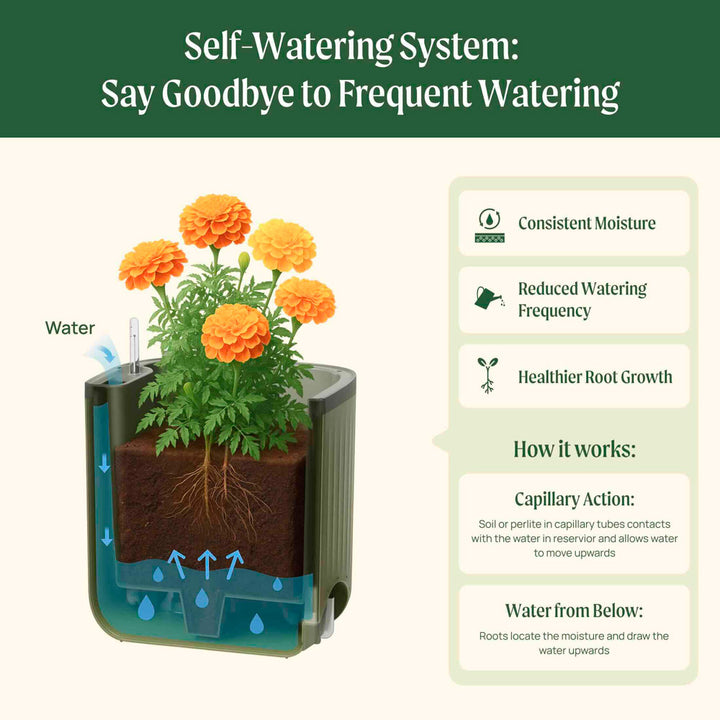 EZ Self-Watering Tomato Planter with Trellis, Sage Green