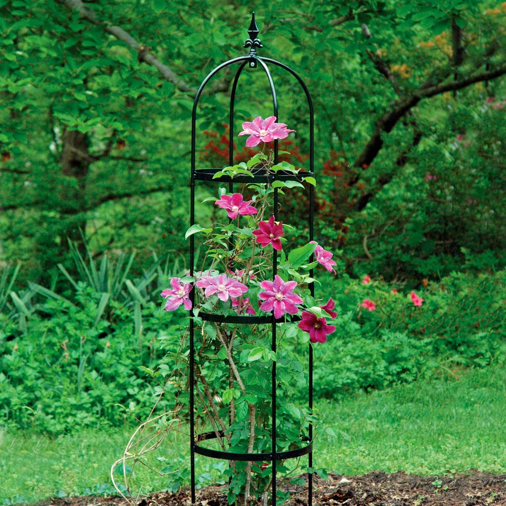 Rose Pillar Obelisk, Small