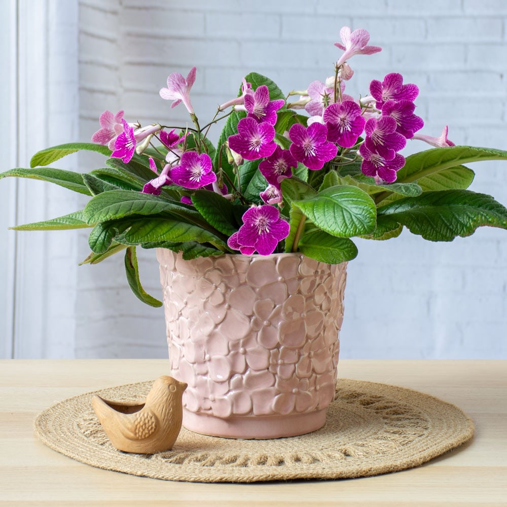 Blossom Planter, Pale Pink