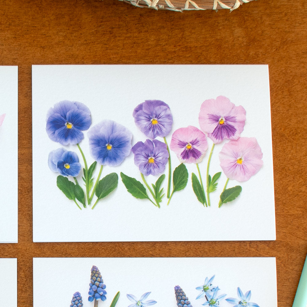 Pastel Spring Flowers Note Cards, Set of 8