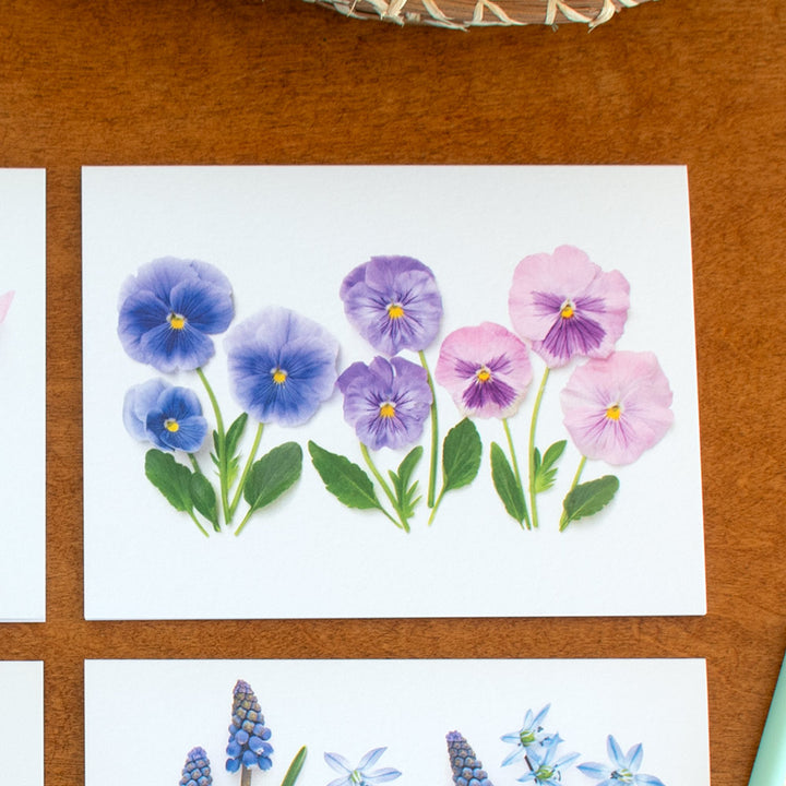 Pastel Spring Flowers Note Cards, Set of 8