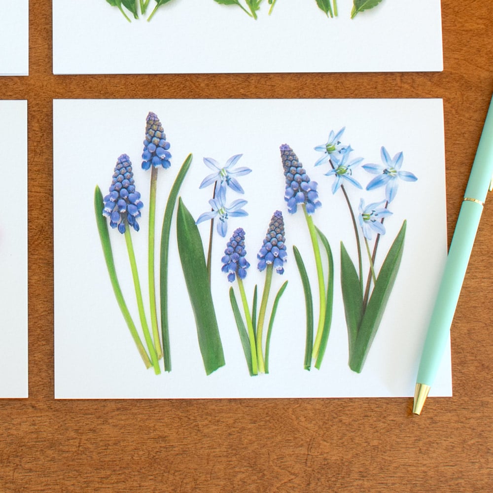 Pastel Spring Flowers Note Cards, Set of 8