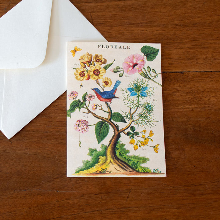 Floreale Boxed Note Cards, Set of 8