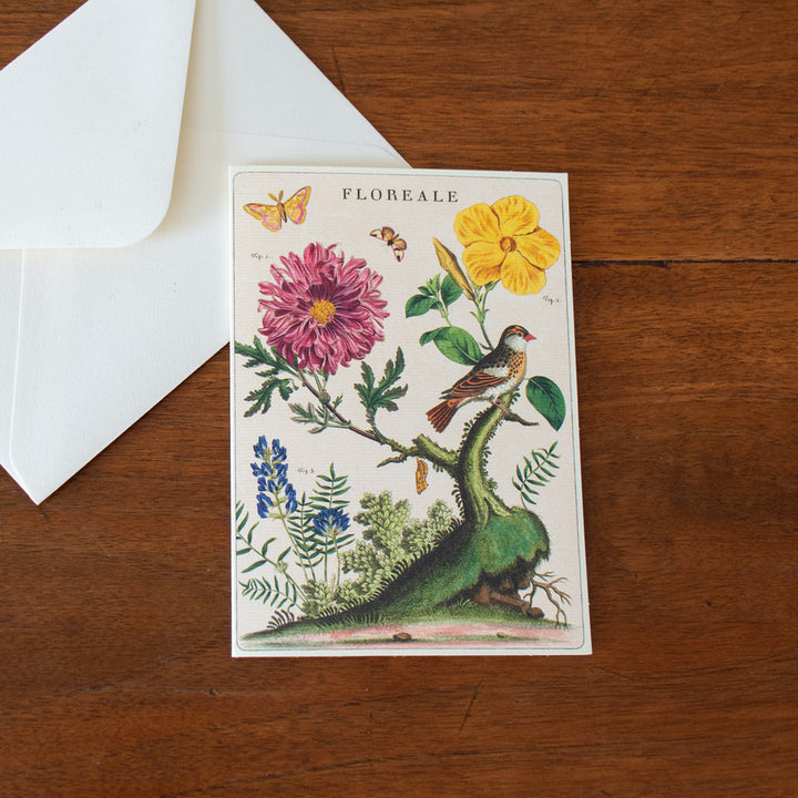 Floreale Boxed Note Cards, Set of 8