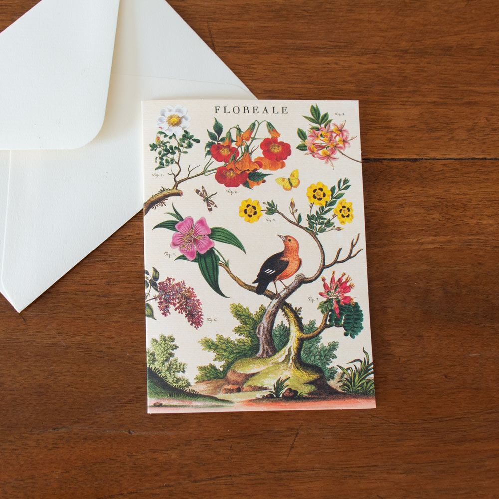 Floreale Boxed Note Cards, Set of 8