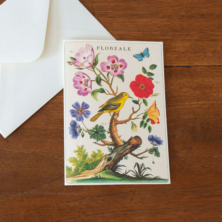 Floreale Boxed Note Cards, Set of 8