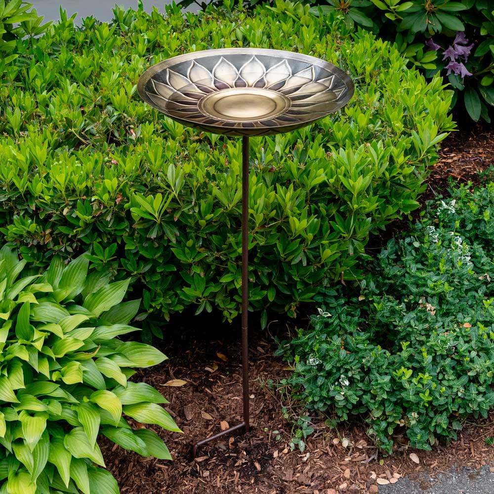 African Daisy Birdbath