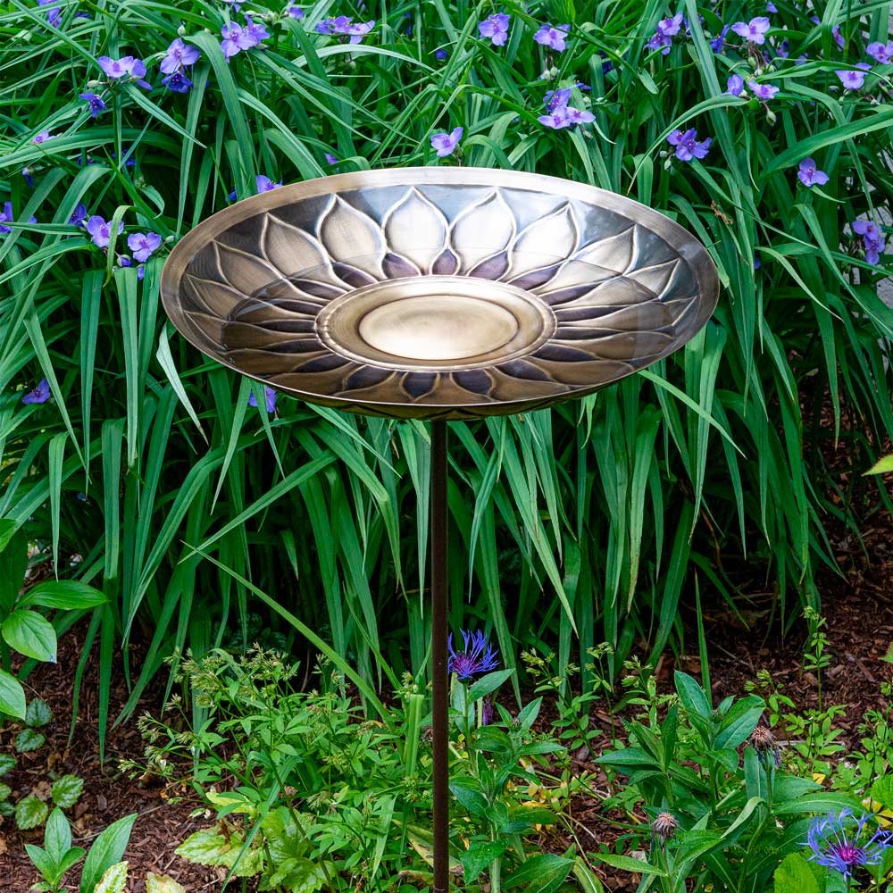 African Daisy Birdbath