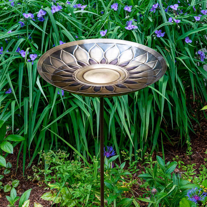 African Daisy Birdbath