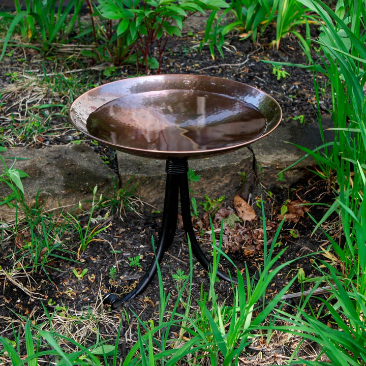 Burnt Copper Birdbath