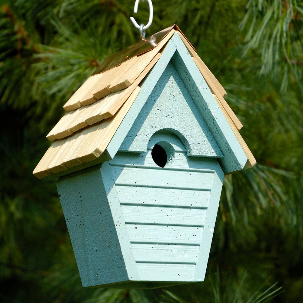 Wren-in-the-Wind House, Blue Eggshell