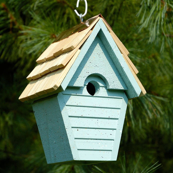 Wren-in-the-Wind House, Blue Eggshell
