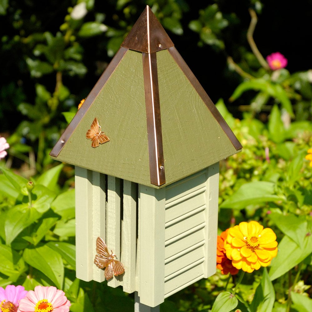 Flutterbye Butterfly House, Celery