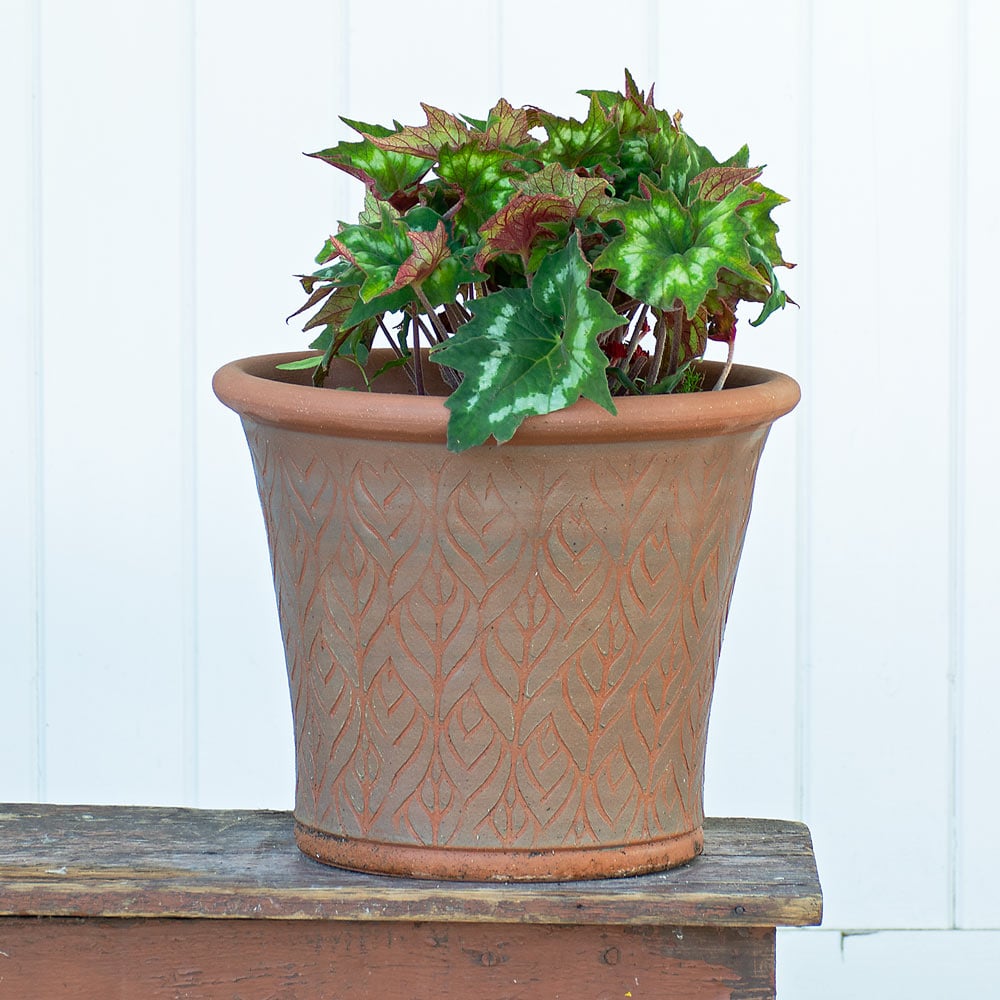 Whichford Beech Leaf Planter
