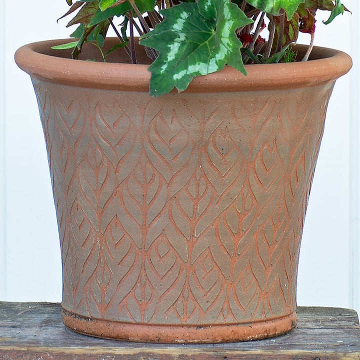 Whichford Beech Leaf Planter