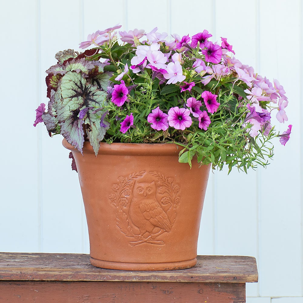 Whichford Woodland Owl Pot