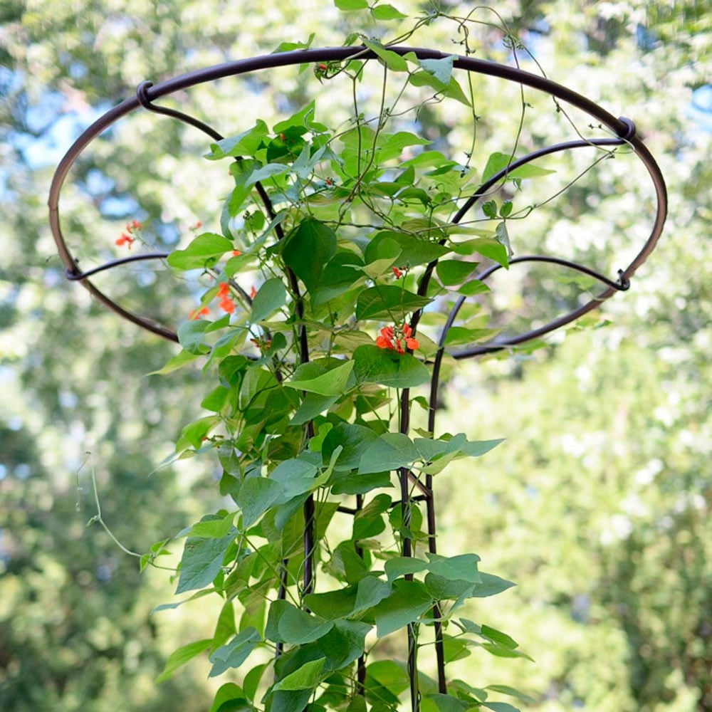 Mushroom Garden Trellis