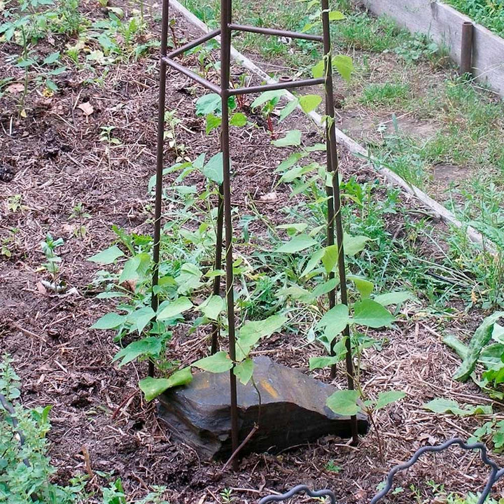 Mushroom Garden Trellis