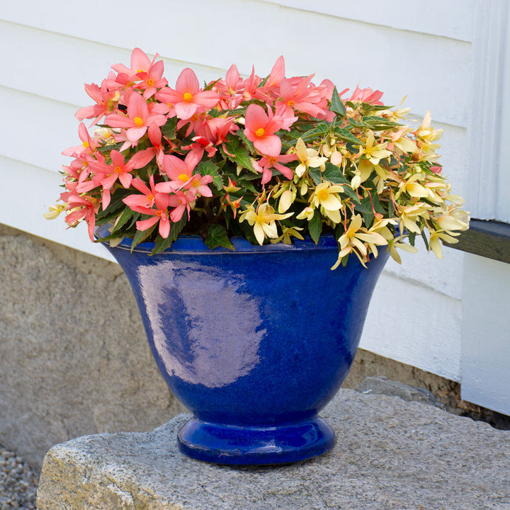 Jacqueline Urn, Riviera Blue