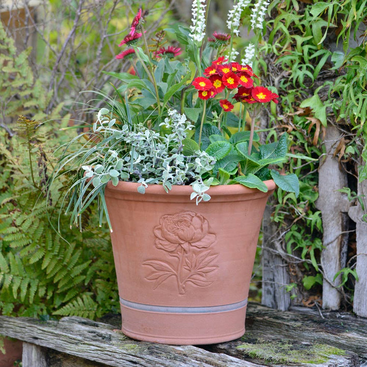 Whichford Peony Planter