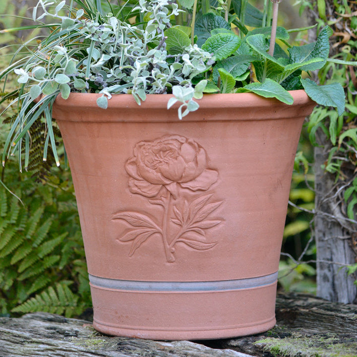 Whichford Peony Planter