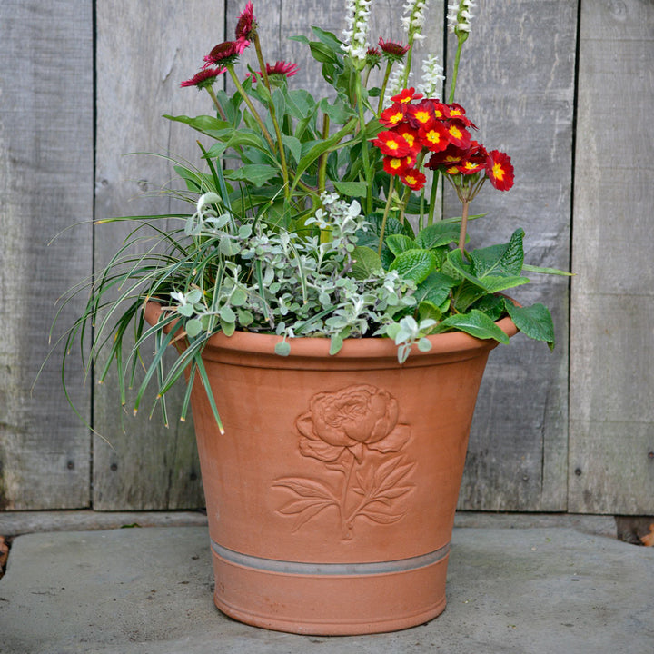 Whichford Peony Planter