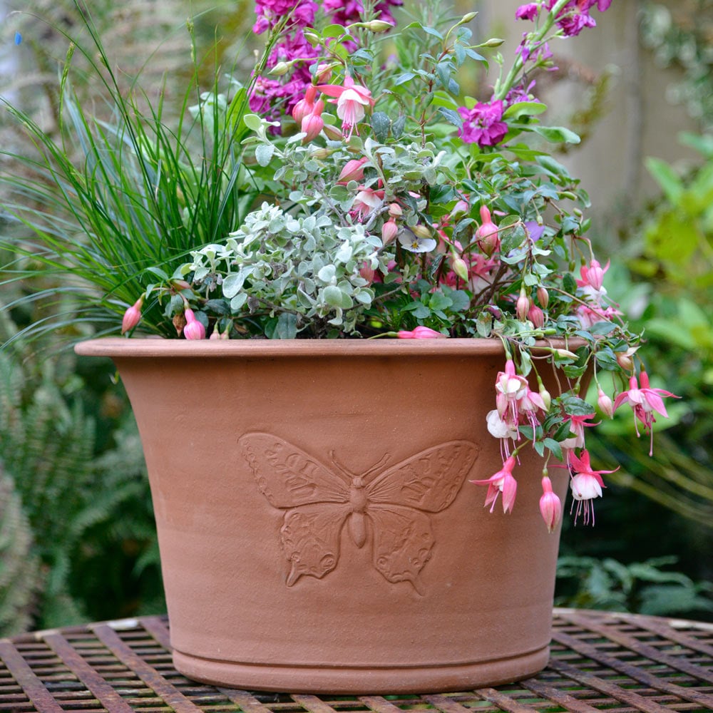 Whichford Swallowtail Planter