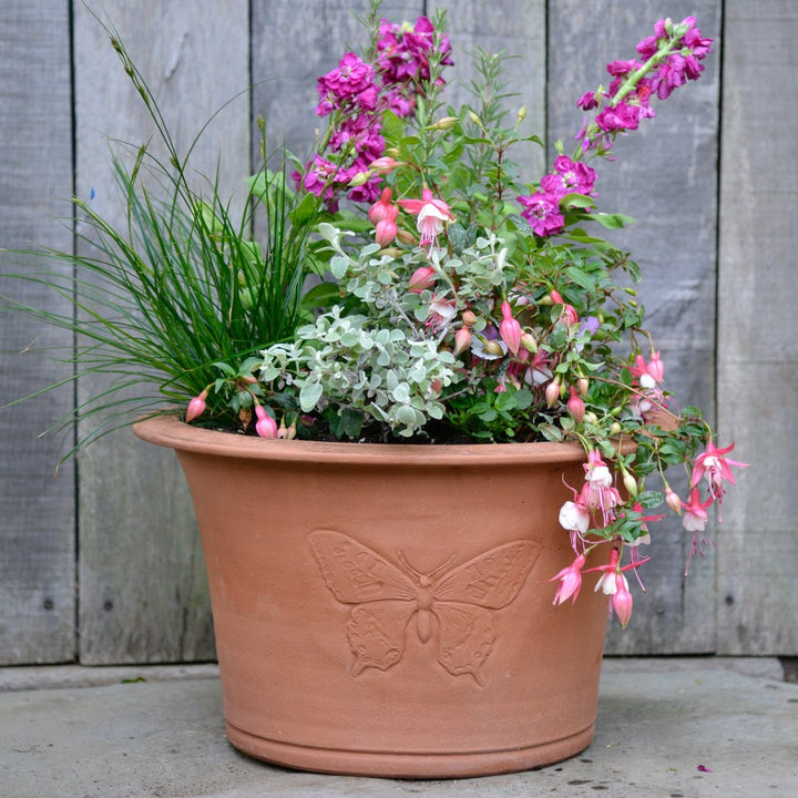 Whichford Swallowtail Planter