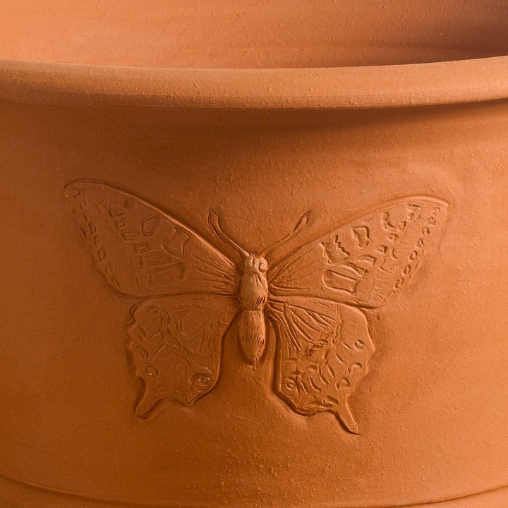 Whichford Swallowtail Planter