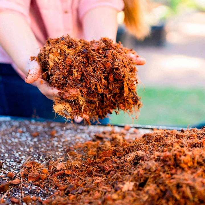 Coco Mulch