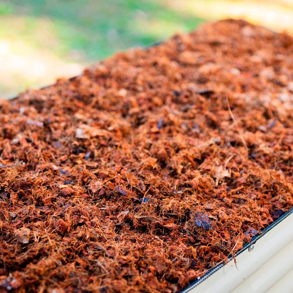 Coco Mulch