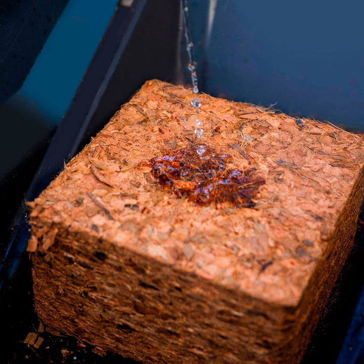 Coco Mulch