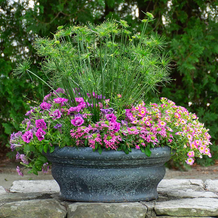 Positano Planter, Charcoal