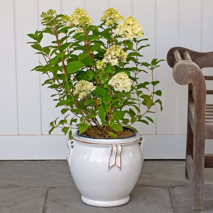Round Handle Planter, Antique White