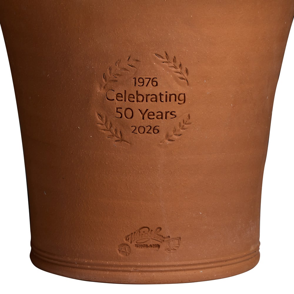 Whichford 50th Anniversary Pot